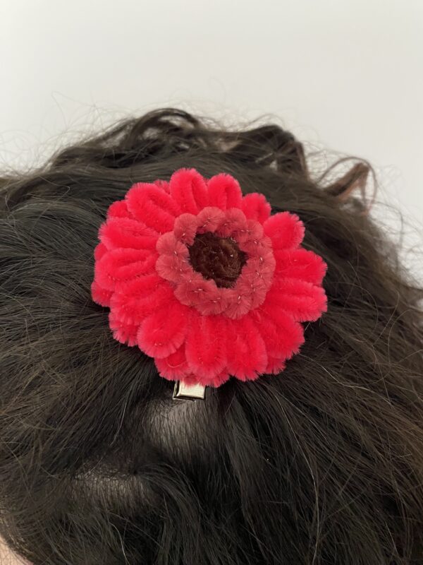 IMG_6204 Pinza Roja