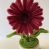 Gerbera Granate