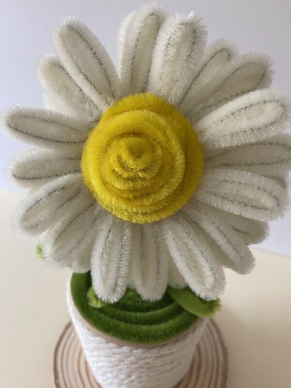 Margarita