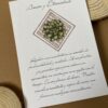 Suculenta 4
