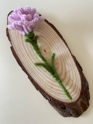 Clavel Rosa