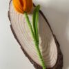 Tulipán Naranja