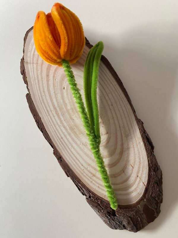 Tulipán Naranja