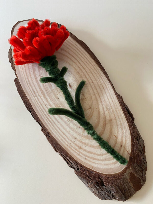Clavel Rojo
