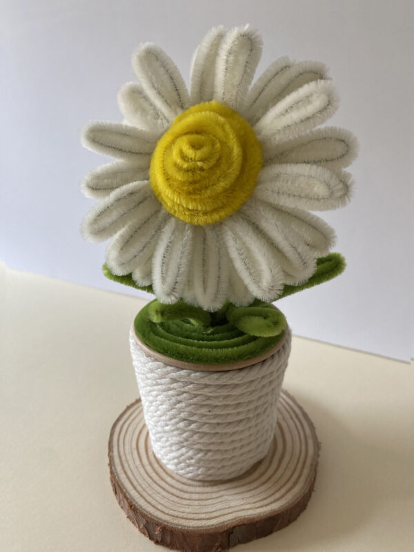 Margarita