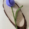 Tulipán Morado