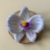 IMG_6969 Broche Orquídea Blanca