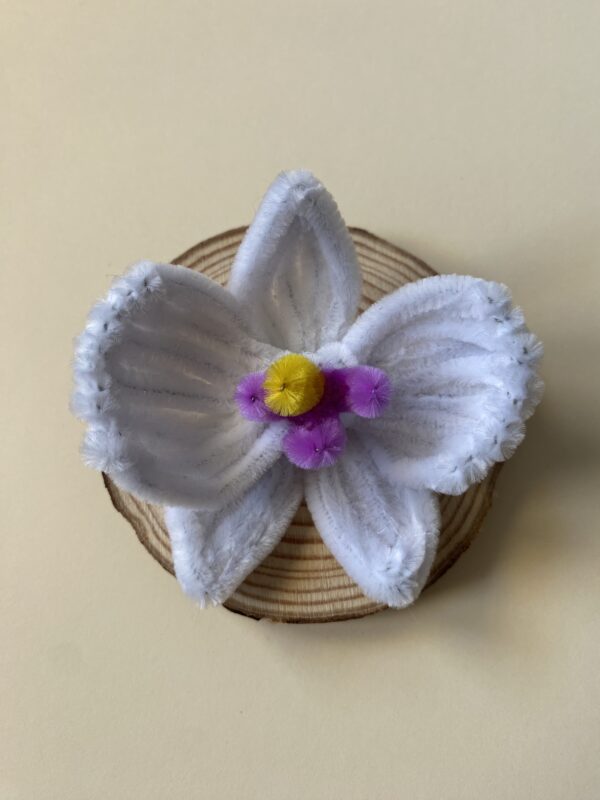 IMG_6969 Broche Orquídea Blanca