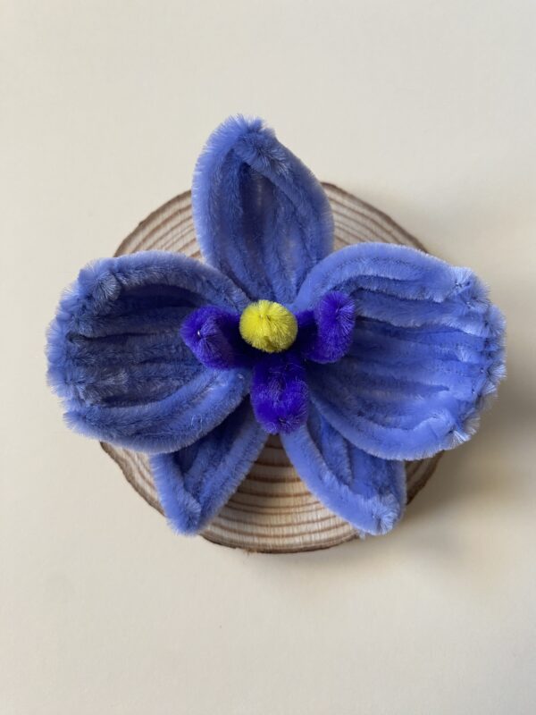 IMG_6974 Broche Orquídea Azul
