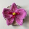 IMG_6978 Broche Orquídea Rosa