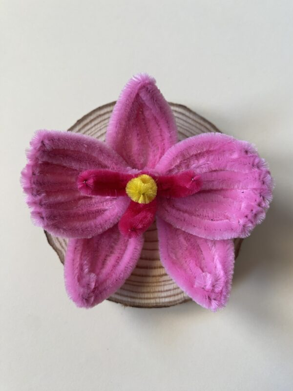 IMG_6978 Broche Orquídea Rosa