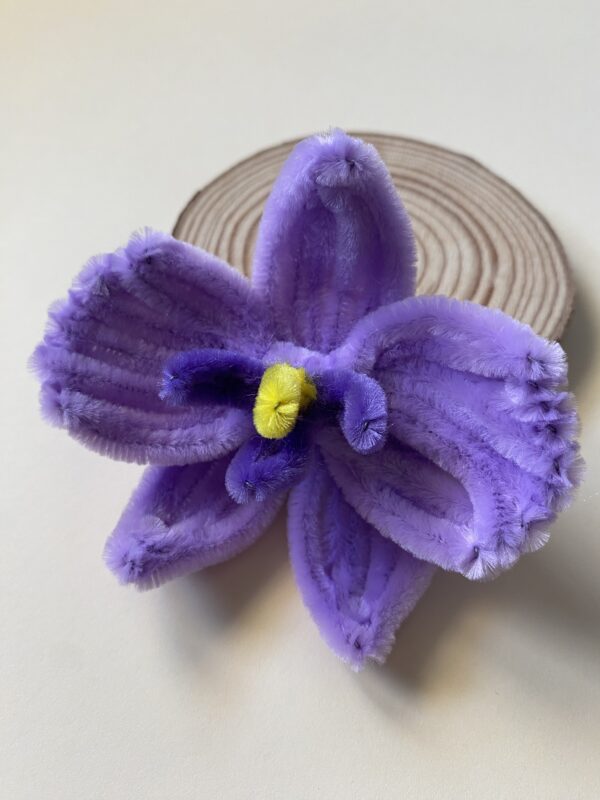 IMG_6989 Broche Orquídea Morada