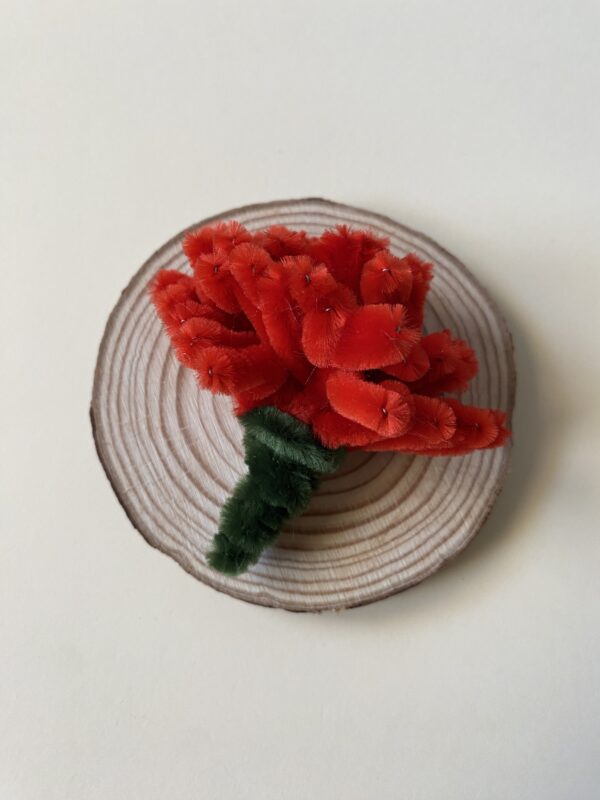 IMG_6995 Broche Clavel
