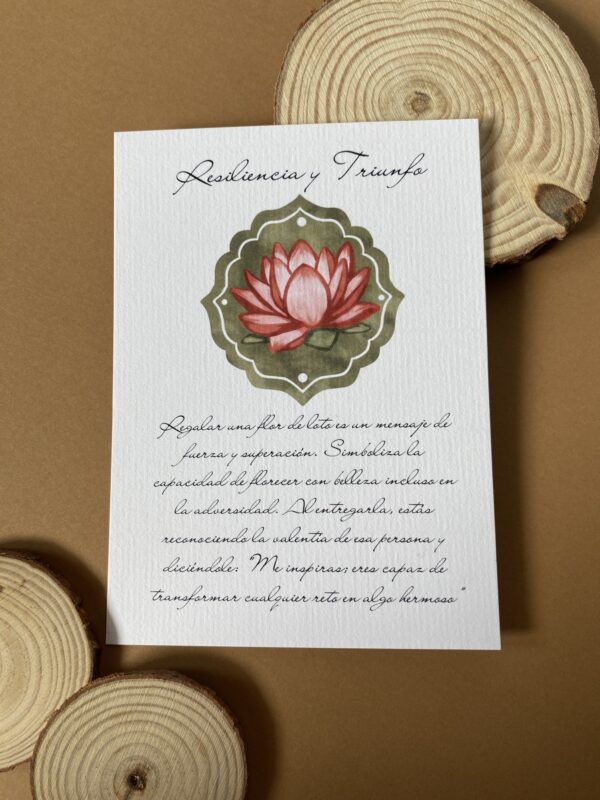 IMG_9851 Loto Rosa