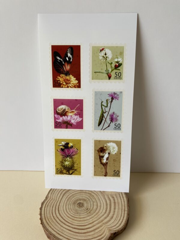 IMG_7915 Set Sellos Animales y flores