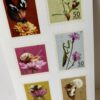 IMG_7917 Set Sellos Animales y flores