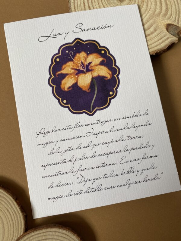 IMG_9859 Flor de Rapunzel