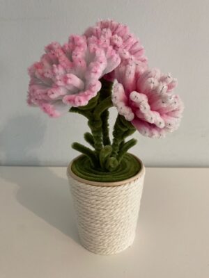 Maceta Claveles Rosas