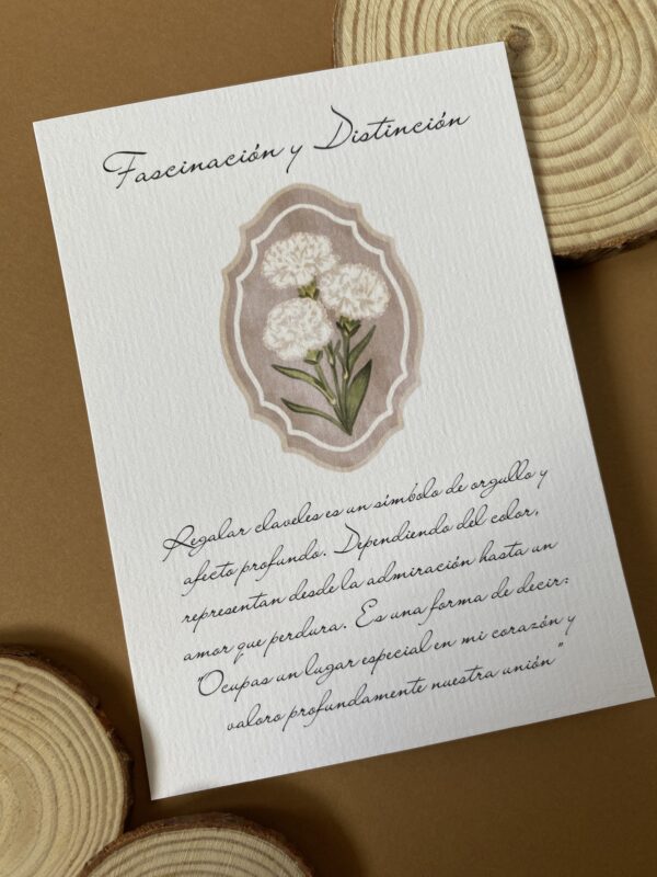 IMG_9892 Maceta Personalizada Claveles