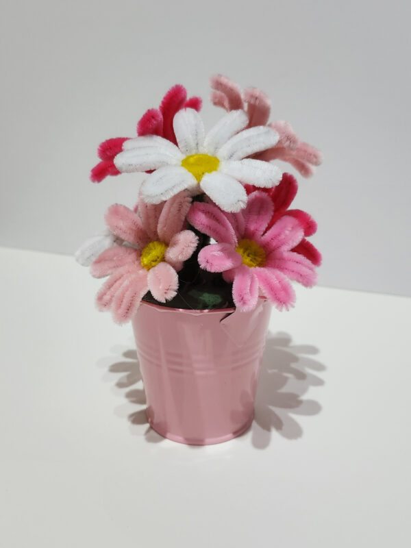 Cesta Rosa Margaritas