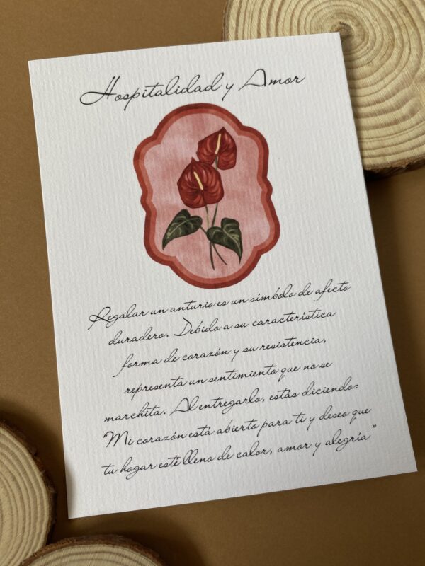 IMG_9902 Anturio