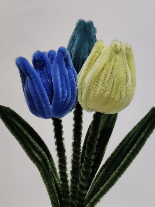 1 Tulipanes azules
