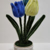 2 Tulipanes azules
