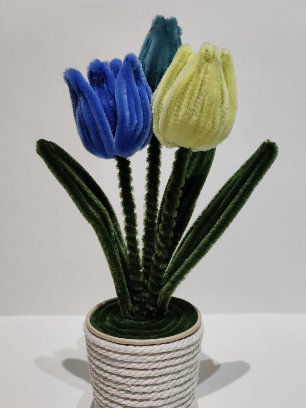 2 Tulipanes azules