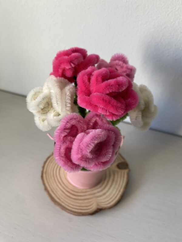 IMG_0098 MiniRosas