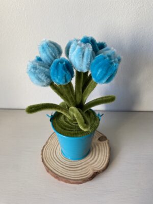 IMG_0102 MiniTulipanes Azules