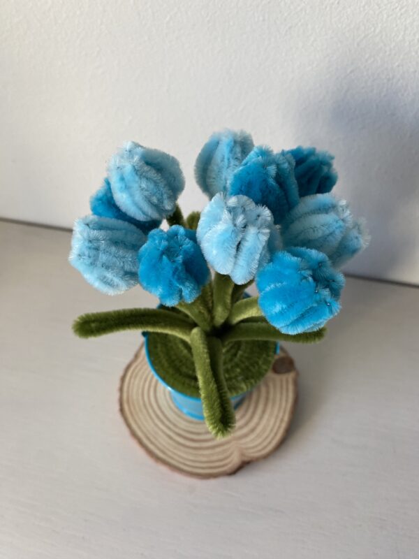 IMG_0103 MiniTulipanes Azules